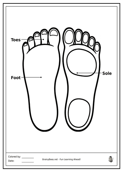 My Dancing Feet