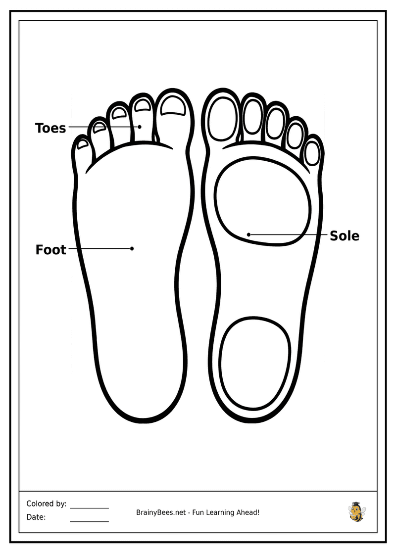 My Dancing Feet
