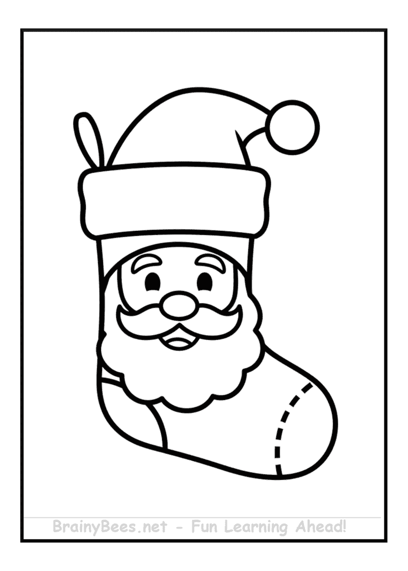 Christmas Santa Socks