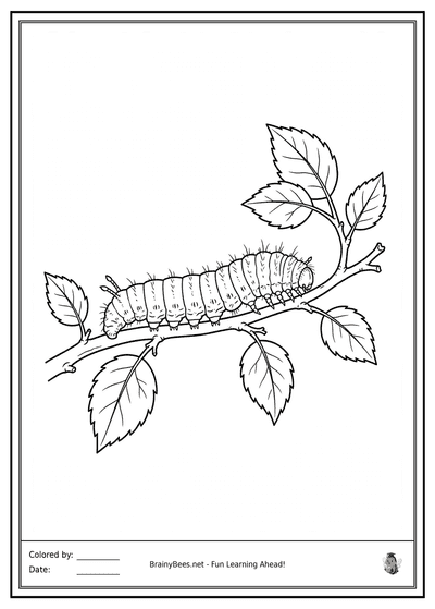 Realistic Caterpillar