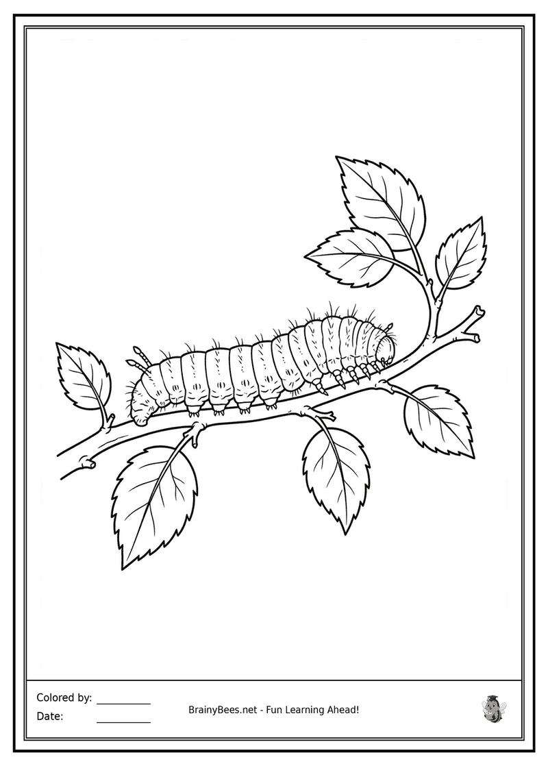 Realistic Caterpillar