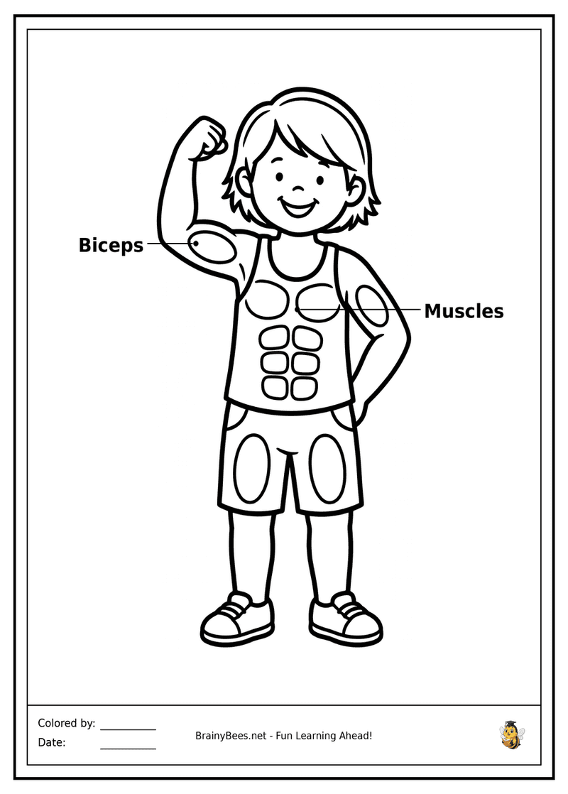 My Strong Muscles