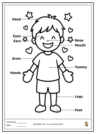 My Body