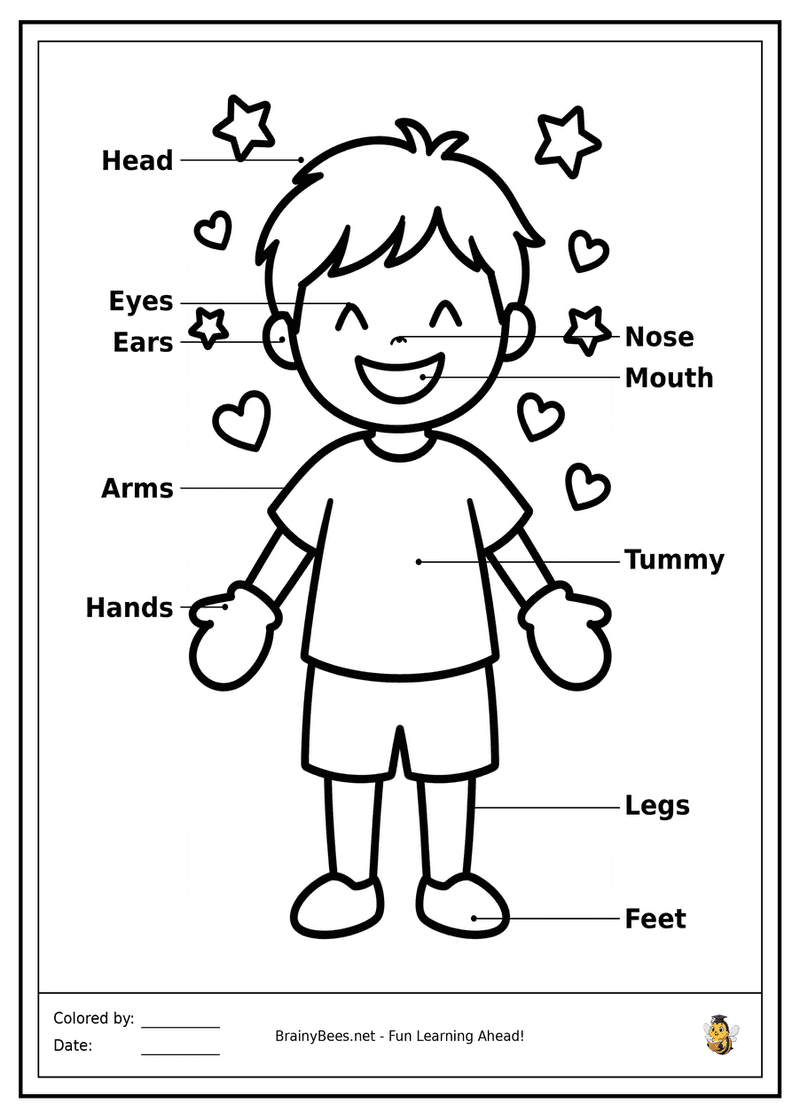 My Body