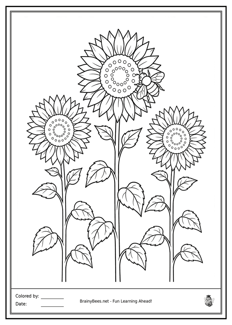 Realistic Sunflowers
