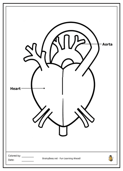 My Beating Heart