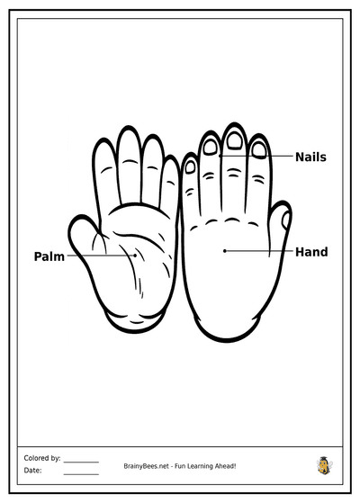 My Helping Hands