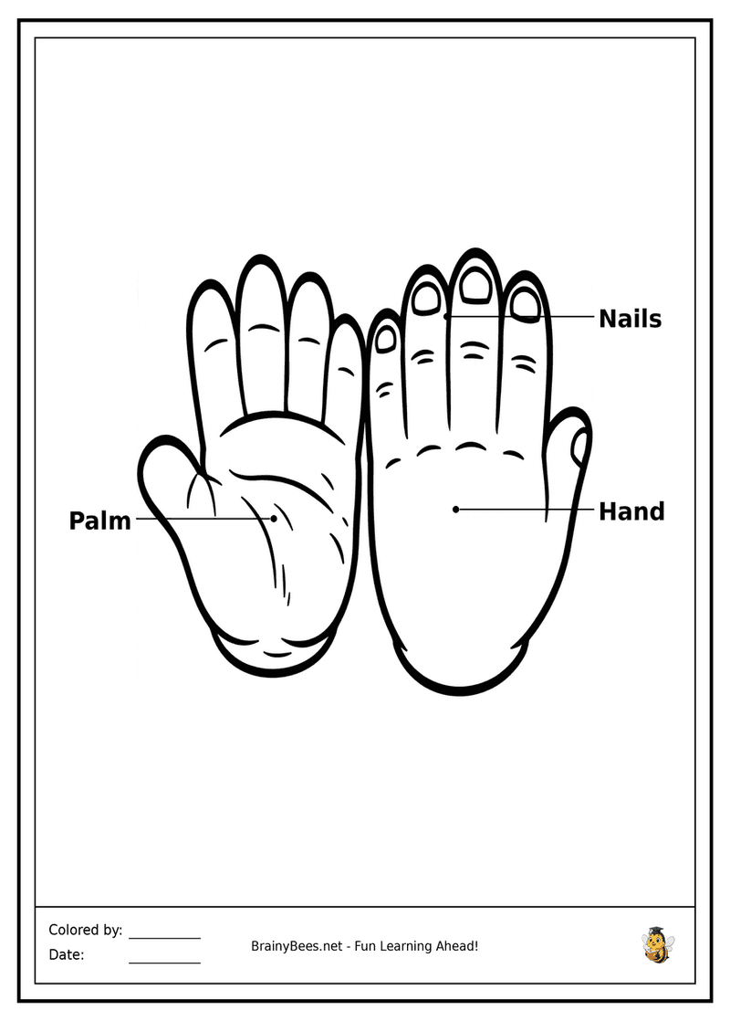 My Helping Hands
