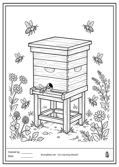 Realistic Beehive